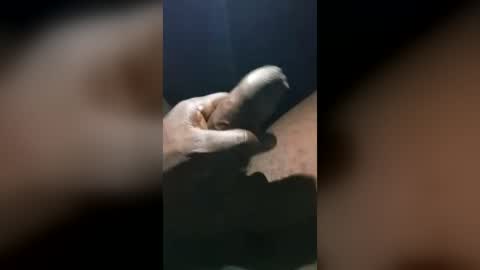 robinsontitan08 online show from June 14, 11:07 pm