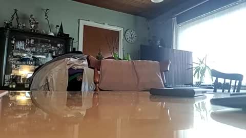 robke1966 online show from January 22, 11:56 am