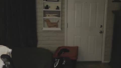 roinaz online show from January 24, 4:59 am