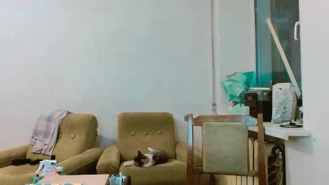 rosa843850 online show from February 28, 1:47 pm