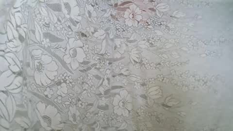 rosia online show from November 17, 2:14 am