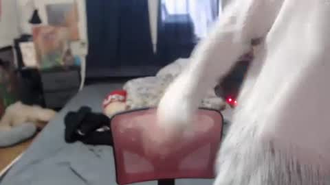 Silver online show from February 16, 3:16 pm