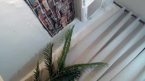 Its me Ryan  online show from January 26, 6:27 pm