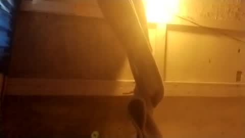 Penoso online show from January 15, 7:22 pm