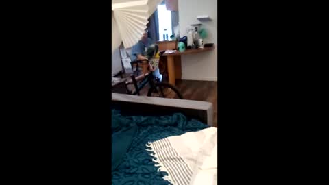 salis1981 online show from April 2, 12:29 am