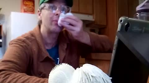 salis1981 online show from November 21, 7:01 pm