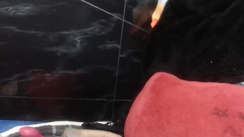 sasha online show from February 16, 8:01 am