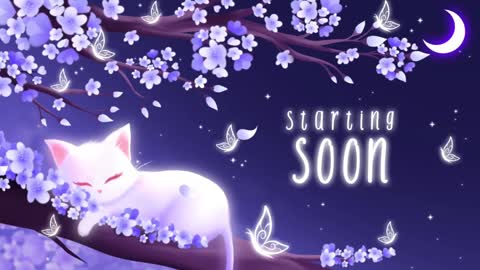 Sassy Sami Kittyn online show from January 7, 6:16 am