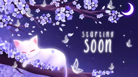 Sassy Sami Kittyn online show from September 22, 5:33 am