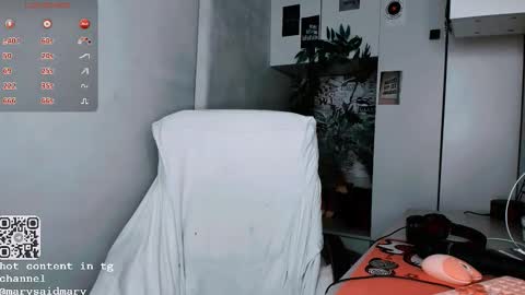 Snapshot of say_mary chatting on September 25, 1:12 am pronoun she. name Mary. age 21. online show from September 25, 1:12 am