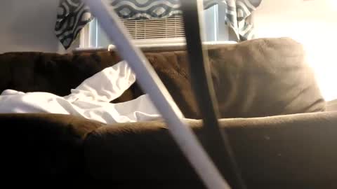 sayhi2mylilguy online show from February 27, 7:15 pm