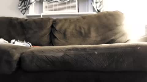 sayhi2mylilguy online show from March 1, 8:23 am