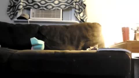 sayhi2mylilguy online show from February 25, 5:41 am