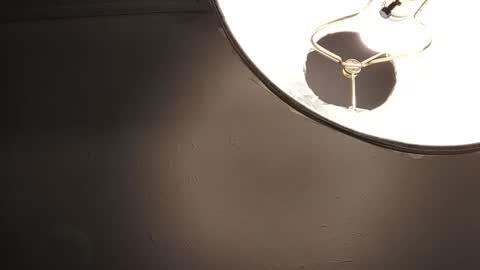 sayhi2mylilguy online show from February 7, 10:50 am