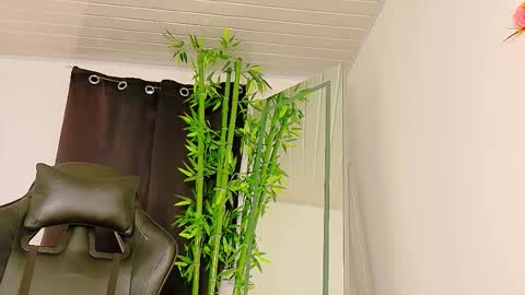 Denis online show from November 29, 10:28 pm