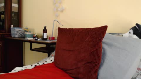 Scarlett online show from January 8, 4:00 pm