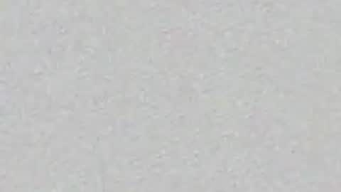 schelldo online show from May 31, 2:54 am