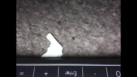 scots_repeater online show from February 14, 12:09 am