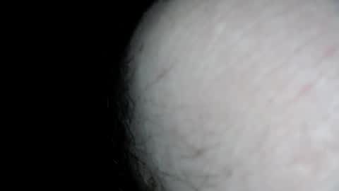 scottbsnps online show from January 12, 7:43 am