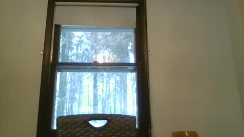 scottpbi52 online show from February 15, 2:00 pm