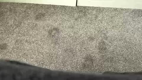 scottyc48 online show from March 21, 11:59 am