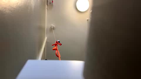 scottyc48 online show from April 9, 1:28 pm