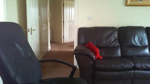 seakrait online show from March 27, 8:26 am