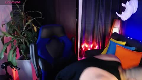 sed online show from February 18, 8:49 am