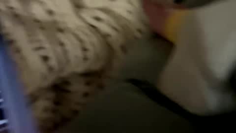 senecathestoic25 online show from February 9, 3:54 am