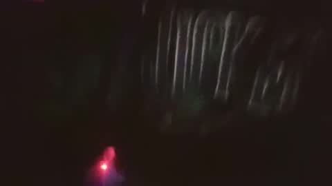 sequoia8888 online show from January 19, 4:55 am