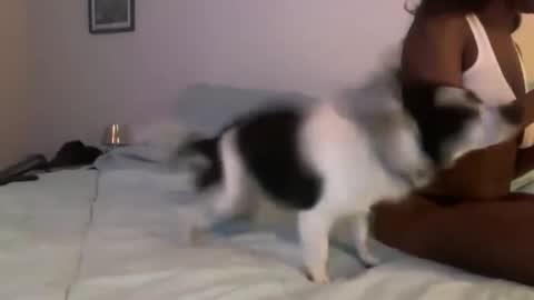 Serenity Bee   online show from December 16, 11:11 pm