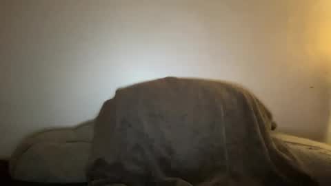 Seroc online show from January 19, 2:47 am