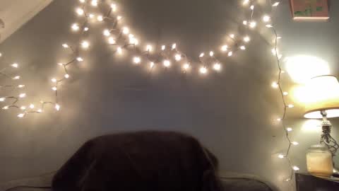 Seroc online show from March 9, 11:46 pm