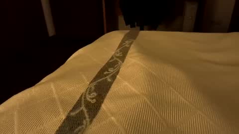 sevenorder online show from January 24, 7:51 am