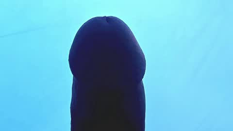 sexadixxx1 online show from October 19, 1:05 pm