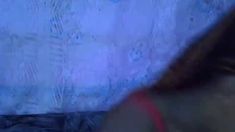 sexydoll002 online show from November 19, 6:35 am