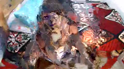 sexyjustin202 online show from March 3, 11:45 pm