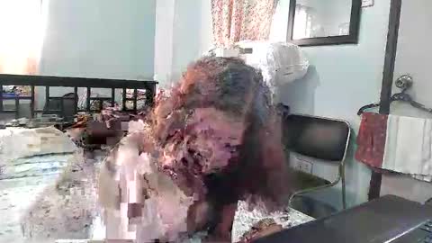 sexyregy69 online show from November 27, 1:57 am