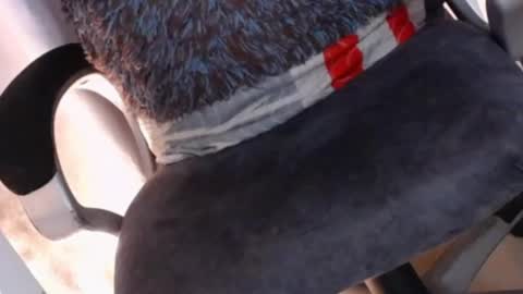    online show from February 7, 5:10 am