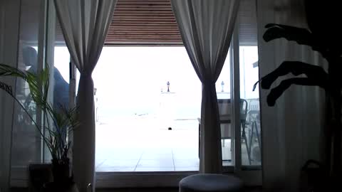 Arda online show from April 11, 11:14 am