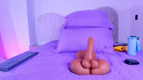 Shelsy online show from November 24, 12:15 pm