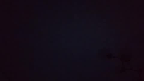 shiva245 online show from February 24, 10:03 pm