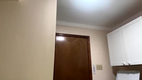 Snapshot of shubby420 chatting on September 25, 11:39 am YeahBoi420 online show from September 25, 11:39 am