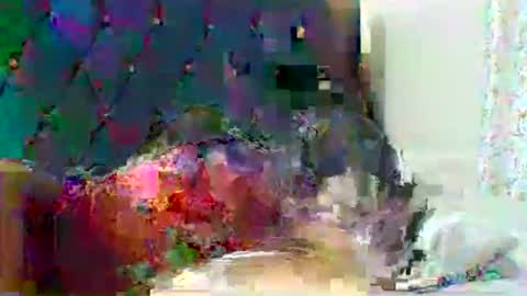 Snapshot of shugar7260 chatting on September 26, 6:16 pm shugar7260 online show from September 26, 6:16 pm