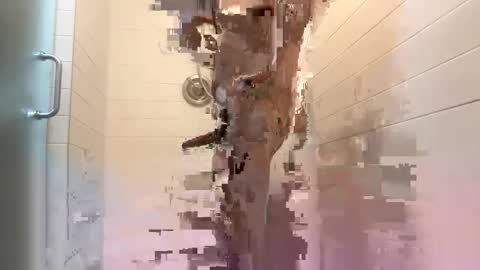 sie273 online show from February 24, 4:59 am