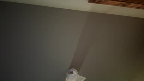 simpsoncayden79 online show from November 1, 3:55 pm