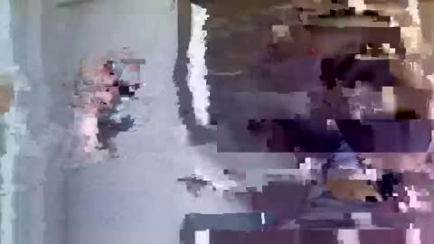 singledad28 online show from April 27, 7:28 am