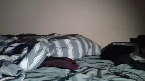 Snapshot of sircamalot45 chatting on September 18, 3:32 am sircamalot45 online show from September 18, 3:32 am