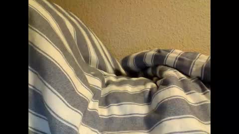 Snapshot of sircamalot45 chatting on February 17, 1:36 am sircamalot45 online show from February 17, 1:36 am