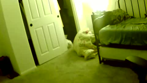 sirnose60 online show from October 12, 9:57 am